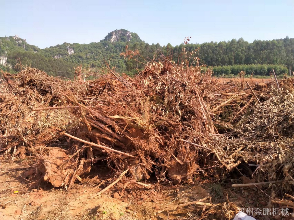 郑州金鹏树根粉碎机用于大块树根粗碎处理应用现场